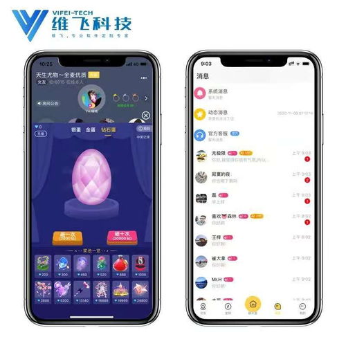 澄海同城服務(wù)App與小程序開發(fā)定制公司指南